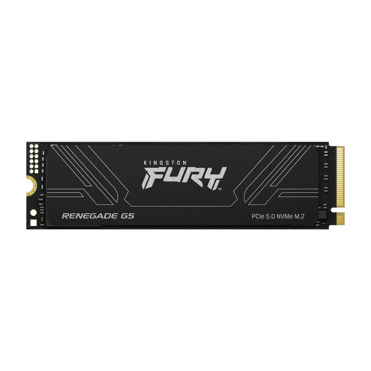 Kingston FURY Renegade G5 2TB M.2 NVMe SSD